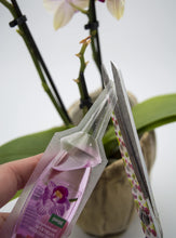Carica l'immagine nel visualizzatore di Gallery, floraline® Set di 10 fertilizzanti per orchidee, per 10 mesi di splendidi fiori con crescita e fiori sani, applicazione 