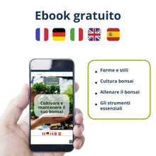 Carica l'immagine nel visualizzatore di Gallery, Cultivea Mini - Bonsai Ready-to-Grow Kit - Semi francesi 100% ecologici - Giardino e decorazione - Idea regalo (Mela rossa, Cercis cinese, Ginepro, Liquidambar, Abete rosso)