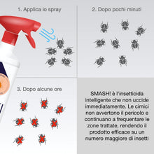 Carica l'immagine nel visualizzatore di Gallery, Insectum 2 Insetticida cimici da letto AMP 2 CL - Spray cimici da letto Flacone 500 ml - Insetticida per cimici da letto