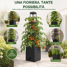 Carica l'immagine nel visualizzatore di Gallery, 2 Fioriere con Traliccio per Pomodori Autoirriganti