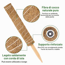 Carica l'immagine nel visualizzatore di Gallery, Vicloon Bastone per Piante, 4Pcs Piante Rampicanti Bastone, Stecche per Pianti 40cm, Palo Totem in Fibra di Cocco, Tutor