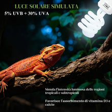 Carica l'immagine nel visualizzatore di Gallery, LALAGO 26W UVB 5,0 Lampadina per Rettili, E27 Lampade UVA/UVB per Terrari