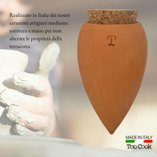 Carica l'immagine nel visualizzatore di Gallery, Toocook Olla in Terracotta Artigianale per irrigazione Automatica Ecologica e Naturale per Piante da Interno ed Esterno 
