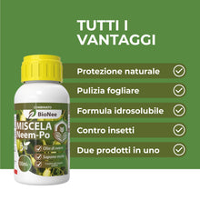 Carica l'immagine nel visualizzatore di Gallery, Miscela Neem-Po per Piante Biologico | Olio di Neem + Sapone molle di potassio Solubile Ottimo Contro le Avversità Ester