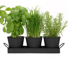 Carica l'immagine nel visualizzatore di Gallery, CKB LTD Set di 3 vasi per erbe aromatiche in metallo con vassoio antigoccia, per interni, per davanzale, colorati, per l