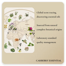 Carica l&#39;immagine nel visualizzatore di Gallery, Oli Essenziali - Kit di Oli 100% Puri - Top 12 Set Regalo di Oli Aromaterapici - Confezione da 12, 10 ml (Eucalipto, Lavanda, Erba Limone, Arancio, Menta Piperita, Albero del Tè)