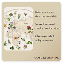 Carica l'immagine nel visualizzatore di Gallery, Oli Essenziali - Kit di Oli 100% Puri - Top 12 Set Regalo di Oli Aromaterapici - Confezione da 12, 10 ml (Eucalipto, Lavanda, Erba Limone, Arancio, Menta Piperita, Albero del Tè)