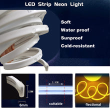 Carica l'immagine nel visualizzatore di Gallery, Balabaxer Striscia luminosa blu al neon, 16.4ft/5m 12V DC 600 SMD2835 LED impermeabile, per la decorazione interna ed esterna (senza azionamento)