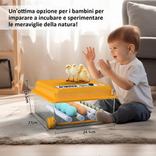 Carica l'immagine nel visualizzatore di Gallery, Incubatrice per Uova con Controllo della Temperatura e Rotazione Automatica per 16 uova, Incubatrice per Uova Automatica con rulli regolabili e aggiunta automatica di acqua