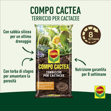 Carica l'immagine nel visualizzatore di Gallery, COMPO CACTEA Terriccio per Cactacee, Per una Crescita Omogenea delle Piante, Sacco 2,5 L