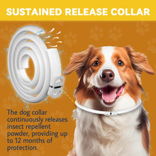 Carica l&#39;immagine nel visualizzatore di Gallery, Collare Antiparassitario per Cani, 12 Mesi Protezione Regolabile Collare Antipulci Cane, Collare Antipulci per Cani con Oli Essenziali 100% Naturali Regolabile per Tutte le Taglie