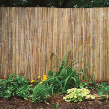 Carica l'immagine nel visualizzatore di Gallery, VERDELOOK | Arella Beach in cannette di bamboo schiacciato, 3x1 m, per Coperture Recinzioni e Decorazioni, Arredo Estern