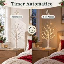 Carica l'immagine nel visualizzatore di Gallery, Set di 4 alberi di luci con 24 LED bianco caldo, betulla con funzione timer, funzionamento a batteria, decorazione natal