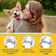 Carica l&#39;immagine nel visualizzatore di Gallery, Collare Antiparassitario per Cani, 12 Mesi Protezione Regolabile Collare Antipulci Cane, Collare Antipulci per Cani con Oli Essenziali 100% Naturali Regolabile per Tutte le Taglie