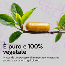 Carica l'immagine nel visualizzatore di Gallery, Coenzima Q10 200mg da Fermentazione Naturale PiùLife, 120 Capsule