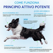 Carica l'immagine nel visualizzatore di Gallery, Tonico Articolazioni per Cani, 100% Naturale per la Cura Delle Articolazioni con Curcuma, Favorisce la Mobilità e la Flessibilità, Integratore per anche e Articolazioni per Cani, Gusto Pancetta, 60 ml