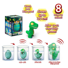 Carica l&#39;immagine nel visualizzatore di Gallery, CRAZE MEGA EGG DINOREX, Dinosauro che si schiudono in acqua, uova dinosauro che cresce nell acqua diversi modelli, giochi bambini uovo da cova, uovo sorpresa.