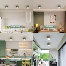 Carica l'immagine nel visualizzatore di Gallery, Plafoniera LED, faretto decorativo in legno montato su superficie, mini plafoniera rotonda verde, bianco caldo 3000K, 12
