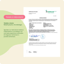 Carica l'immagine nel visualizzatore di Gallery, BOSWELLIA Vegavero® | 9.450 mg (15:1) | con 85% di Acidi Boswellici | Per Articolazioni e Digestione | Senza Additivi | 