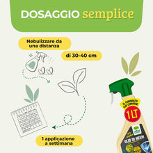 Carica l'immagine nel visualizzatore di Gallery, Albagarden - Olio Di Neem Per Piante - MAXI x 1 Litro - Soluzione Naturale Contro Insetti Funghi Cocciniglia, Acari Afid