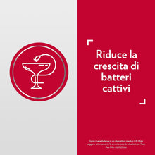 Carica l'immagine nel visualizzatore di Gallery, Gyno-Canesbalance Gel Vaginale, Vaginosi Batterica, Flaconcini 7x5ml