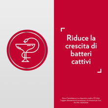 Carica l'immagine nel visualizzatore di Gallery, Gyno-Canesbalance Gel Vaginale, Vaginosi Batterica, Flaconcini 7x5ml