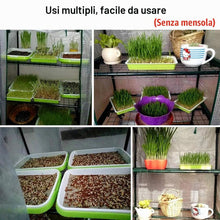 Carica l'immagine nel visualizzatore di Gallery, Copertura per serra da giardino in PVC, 4 ripiani, con telo rimovibile trasparente, 160x70x50 cm, impermeabile e traspir