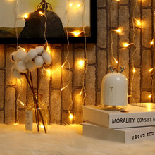 Carica l'immagine nel visualizzatore di Gallery, Zorela 600 LED 6Mx3M Tenda Luminosa Natale Esterno Interno Prolungabile Luci di Natale IP44 Impermeabile con 8 Modalità Tenda Luci Esterno per Natale, Giardino e Matrimonio