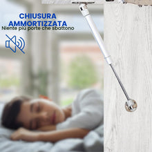 Carica l'immagine nel visualizzatore di Gallery, EVOTRADE Kit Ricambio Universale Pistoni a Gas 100N con Piastre di Montaggio e Viti, Lunghezza 265mm, Molle a Gas per An