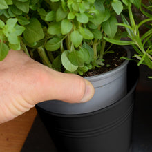 Carica l'immagine nel visualizzatore di Gallery, CKB LTD Set di 3 vasi per erbe aromatiche in metallo con vassoio antigoccia, per interni, per davanzale, colorati, per l