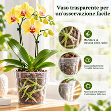 Carica l'immagine nel visualizzatore di Gallery, 10 Vasi Trasparenti per Orchidee Ø11,5 cm con Fori di Drenaggio