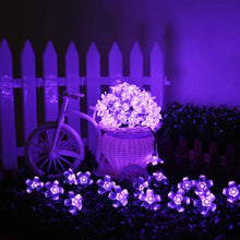 Carica l'immagine nel visualizzatore di Gallery, KINGCOO Catena Luminosa Stringa Luci Fiore Solare Esterna,Impermeabile 21ft 50LED Fiore di Pesca Ciliegio Luci di String