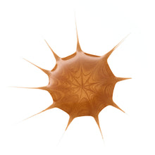 Carica l'immagine nel visualizzatore di Gallery, essence DROP OF SUNSHINE gocce viso effetto abbronzante idratante (25 ml)