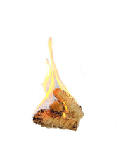 Carica l'immagine nel visualizzatore di Gallery, ACCENDIFUOCO 5 kg - Per il forno, grill, focolare.