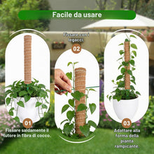 Carica l'immagine nel visualizzatore di Gallery, HOVIN Monstera - Traliccio di cocco – Confezione da 4 bastoncini di muschio estensibili 40 cm – per piante rampicanti da