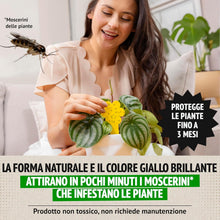 Carica l'immagine nel visualizzatore di Gallery, Super Ninja Trappole Moscerini Piante da Interno, 30 Pezzi