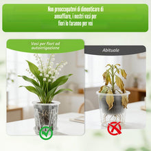 Carica l'immagine nel visualizzatore di Gallery, Set da 3 Vasi per Orchidee in Plastica con Sottovasi, 1.3L/Ø14cm Vaso