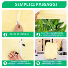 Carica l'immagine nel visualizzatore di Gallery, 250 x 360 cm Telo Antigelo per Piante con Cerniera e Cordoncino, Facile da Installare, Telo per Piante Antigelo, Tessuto