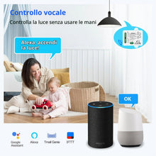 Carica l'immagine nel visualizzatore di Gallery, DieseRC Interruttore Intelligente Wi-Fi 2 canali Modulo Relè di Uscita Passivo AC 90V-250V 220V Controllo WIFI APP Eweli