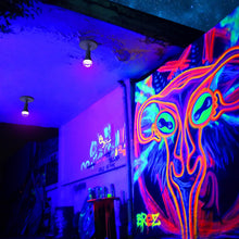 Carica l'immagine nel visualizzatore di Gallery, Onforu 2 Pezzi 9W Lampadine UV LED, Luce Nera Lampadine E27, Black Light, Illuminazione Ultravioletto per Party Feste Di