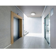Carica l'immagine nel visualizzatore di Gallery, Lampada da Soffitto Plafoniera Parete con Paralume Opaco Realizzato in Plastica 2 x E27 x 40W (lampadine non incluse) Pl