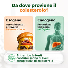Carica l'immagine nel visualizzatore di Gallery, Armolipid Colesterolo Plus, Integratore con Fitosteroli, 30 Compresse