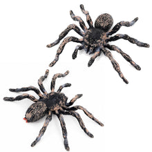 Carica l'immagine nel visualizzatore di Gallery, 2 Pezzi Ragno di Halloween Realistico Ragni Modello per Scherzi Decorazioni