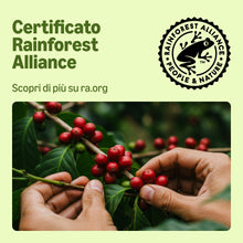 Carica l'immagine nel visualizzatore di Gallery, By Amazon Tè Verde 25 Bustine