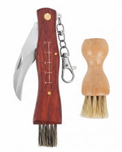 Carica l'immagine nel visualizzatore di Gallery, Coltello per Funghi con Spazzola, Kit 2 Pezzi in Legno di Pero e Zucca Naturale, Lama Curva Affilata per Raccolta Sosten