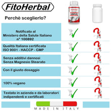 Carica l'immagine nel visualizzatore di Gallery, Fitoherbal Vitamina B Complex 400 Mini Compresse, Integratori Stanchezza