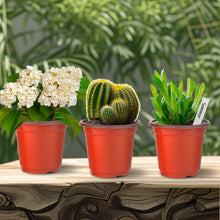 Carica l'immagine nel visualizzatore di Gallery, Vasi Plastica 100 Pezzi Vasi per Piante, Vasi Da Fiori in Plastica 9.8 cm di Diametro Vasi per Piantine, Piante, Succule