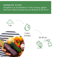 Carica l'immagine nel visualizzatore di Gallery, AGRI-CULTURA® | Bicarbonato di Potassio per Piante e Alberi da Frutto 250g | Nutriente Naturale Contro Funghi, Muffa, Bo