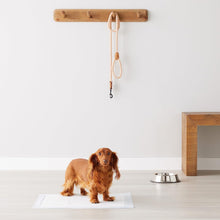 Carica l'immagine nel visualizzatore di Gallery, Amazon Basics Tappetini per l'addestramento di Cani e Cuccioli, Design a 5 Strati a Prova di perdite con Superficie ad Asciugatura Rapida, Dimensione Standard, Confezione da 100, Blu/Bianco