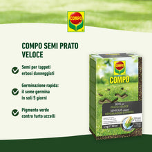 Carica l'immagine nel visualizzatore di Gallery, COMPO SEMI per Prato Veloce, Miscela Speciale, Seme Ricoperto, Per rigenerare Tappeti Erbosi, 1 kg